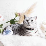 Catnip Caviar Cat Toy