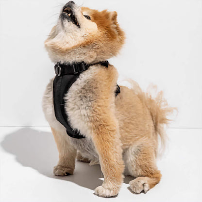 Dog Harness - Black