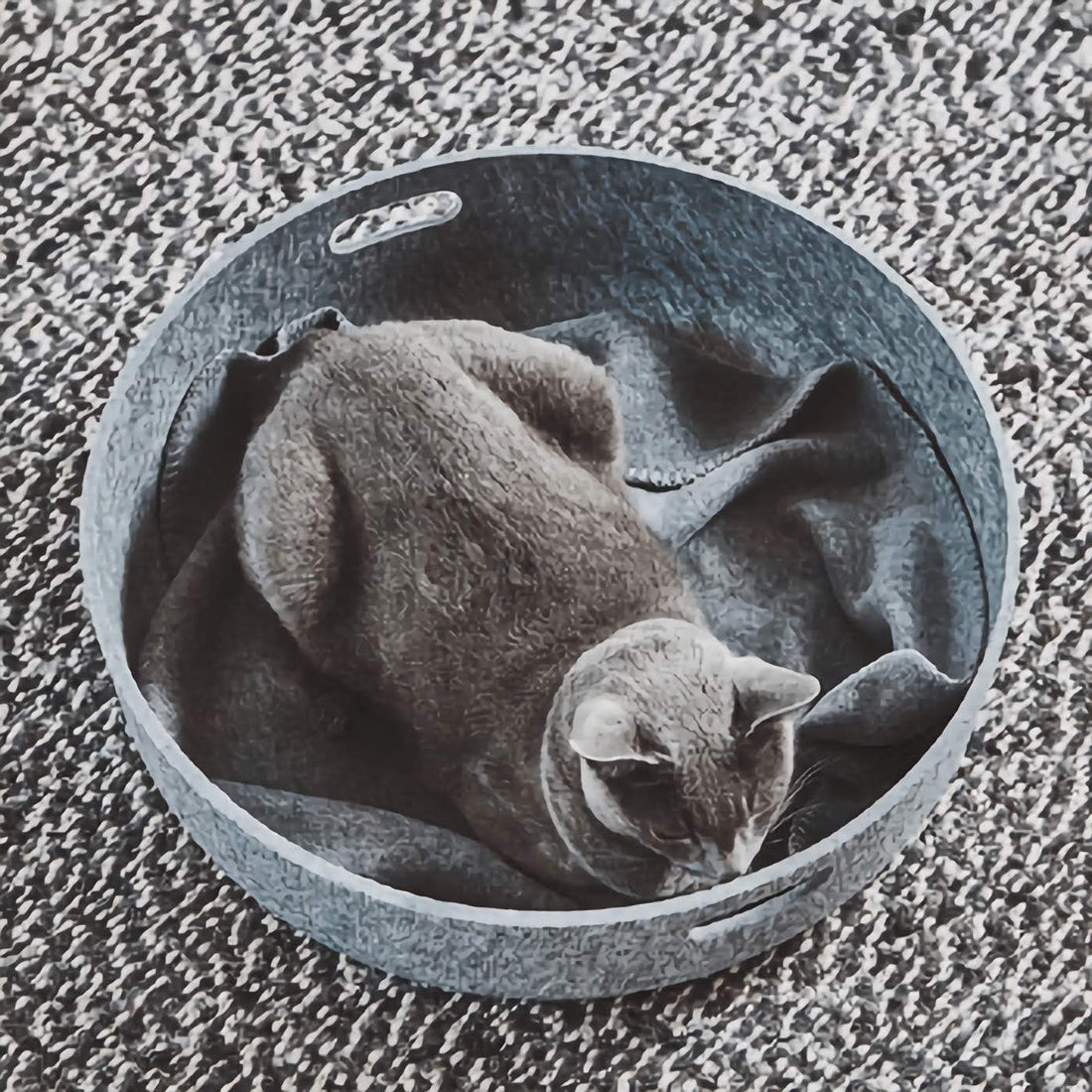 Unica Cat Blanket - Pebble