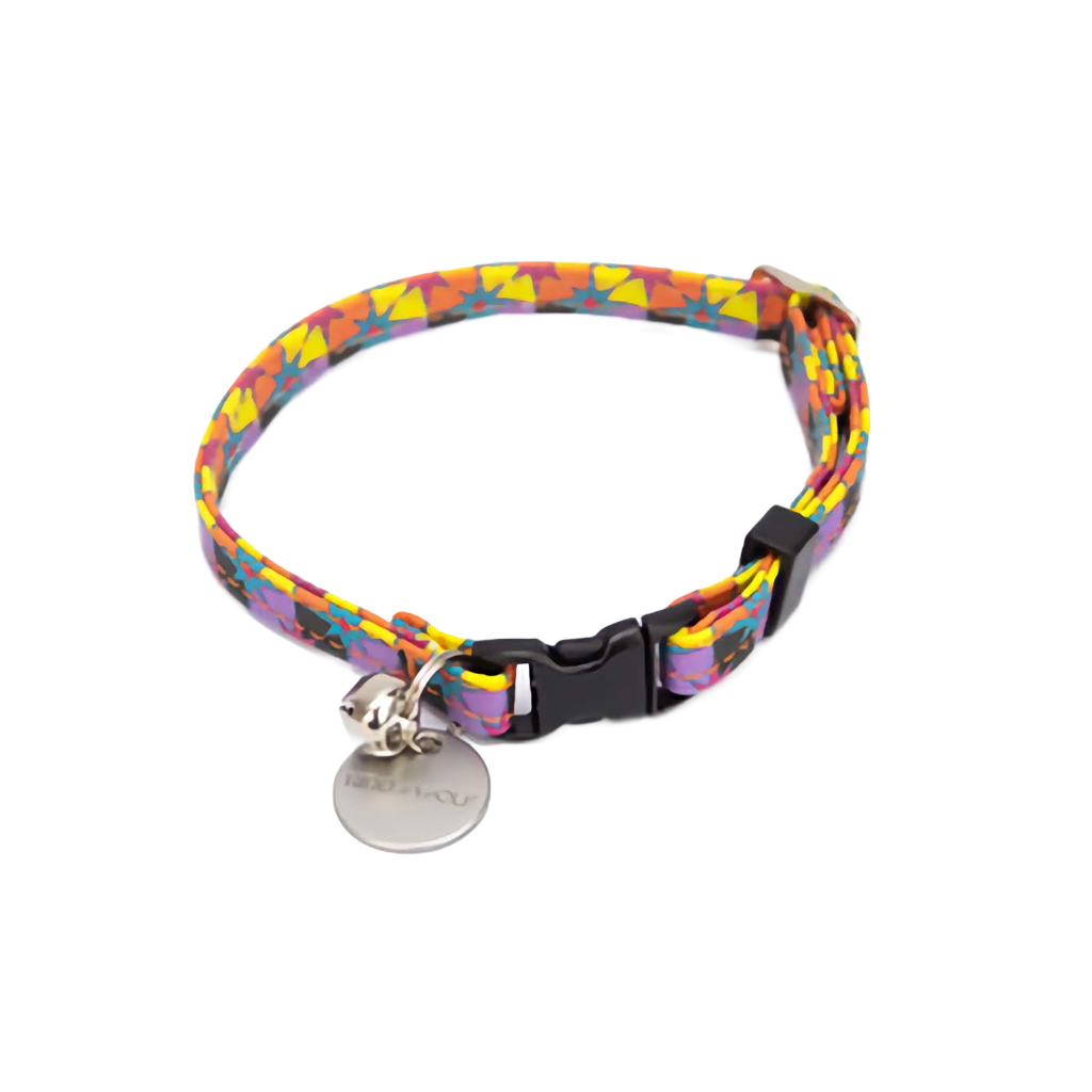 multicolour star collar
