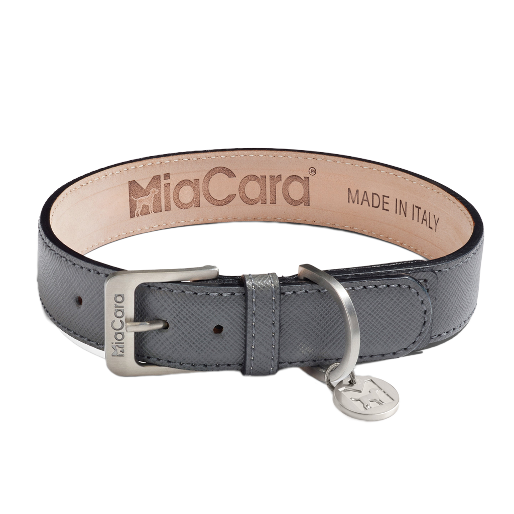 leather dog collar