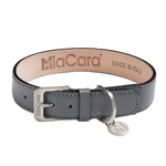 leather dog collar