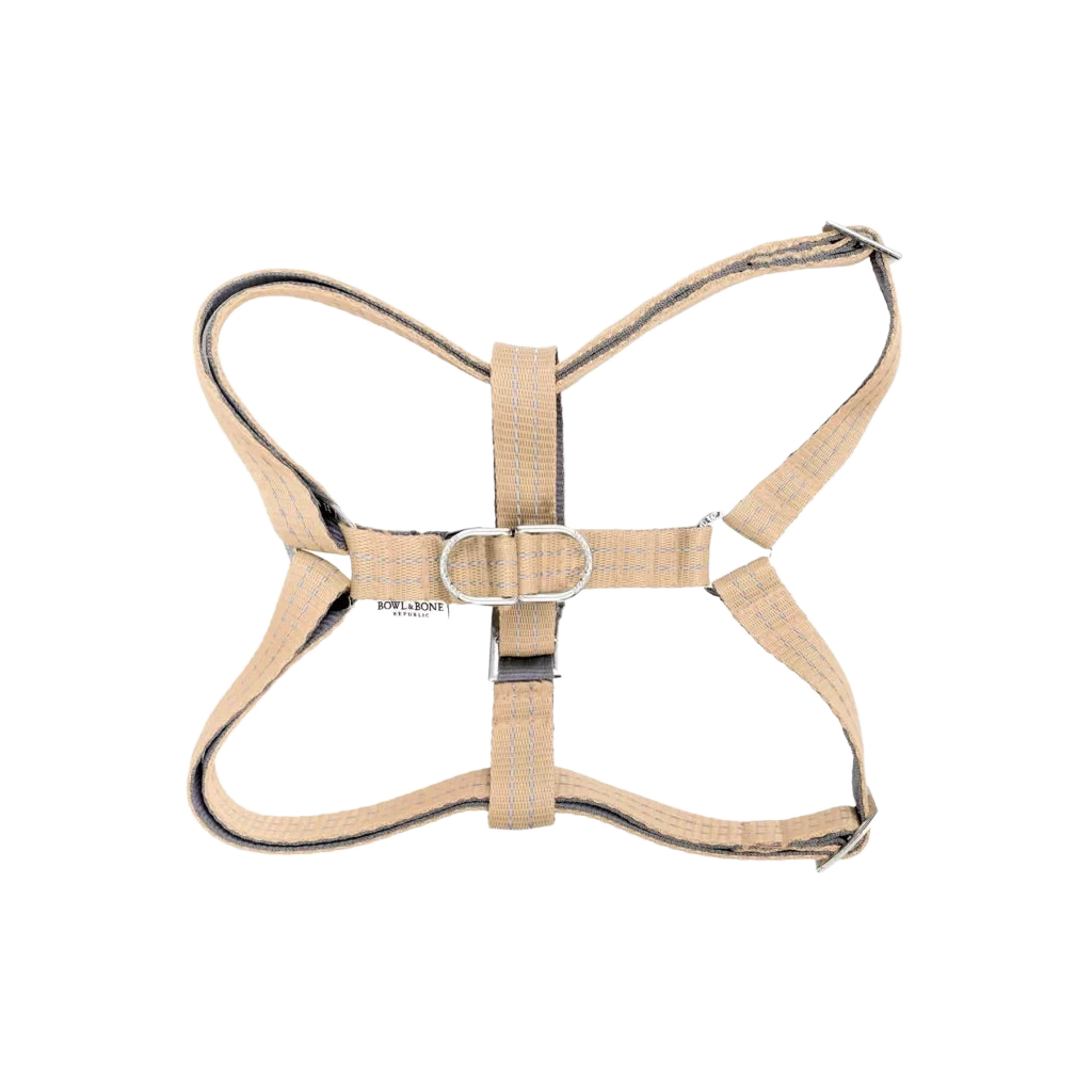 dog harness active beige