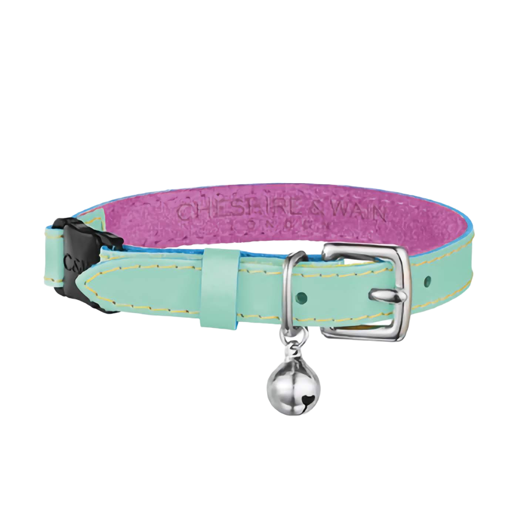turquoise collar