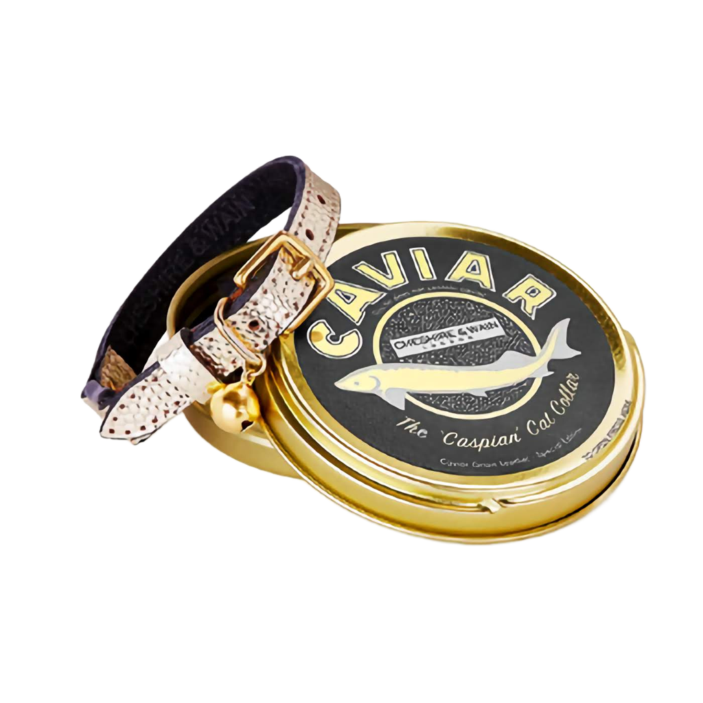 Leather cat collar
