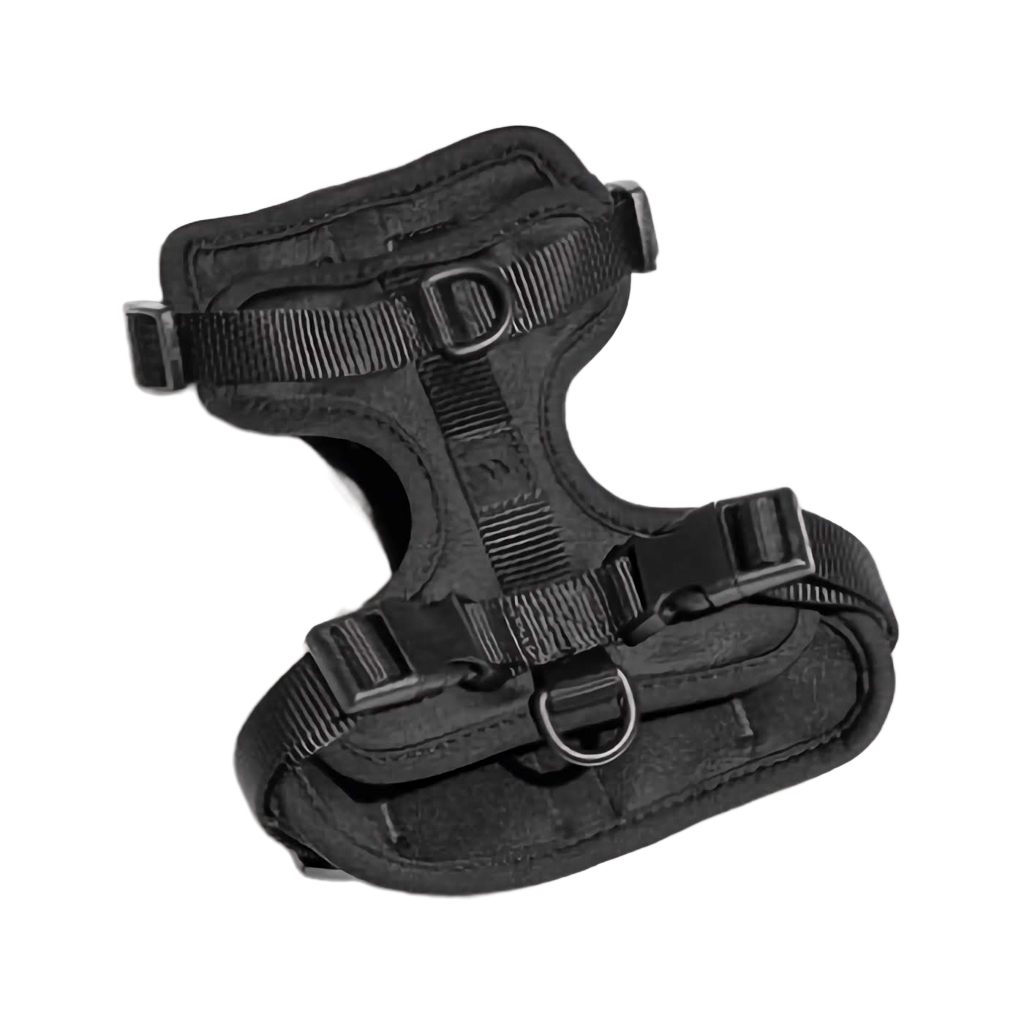 black dog harness 
