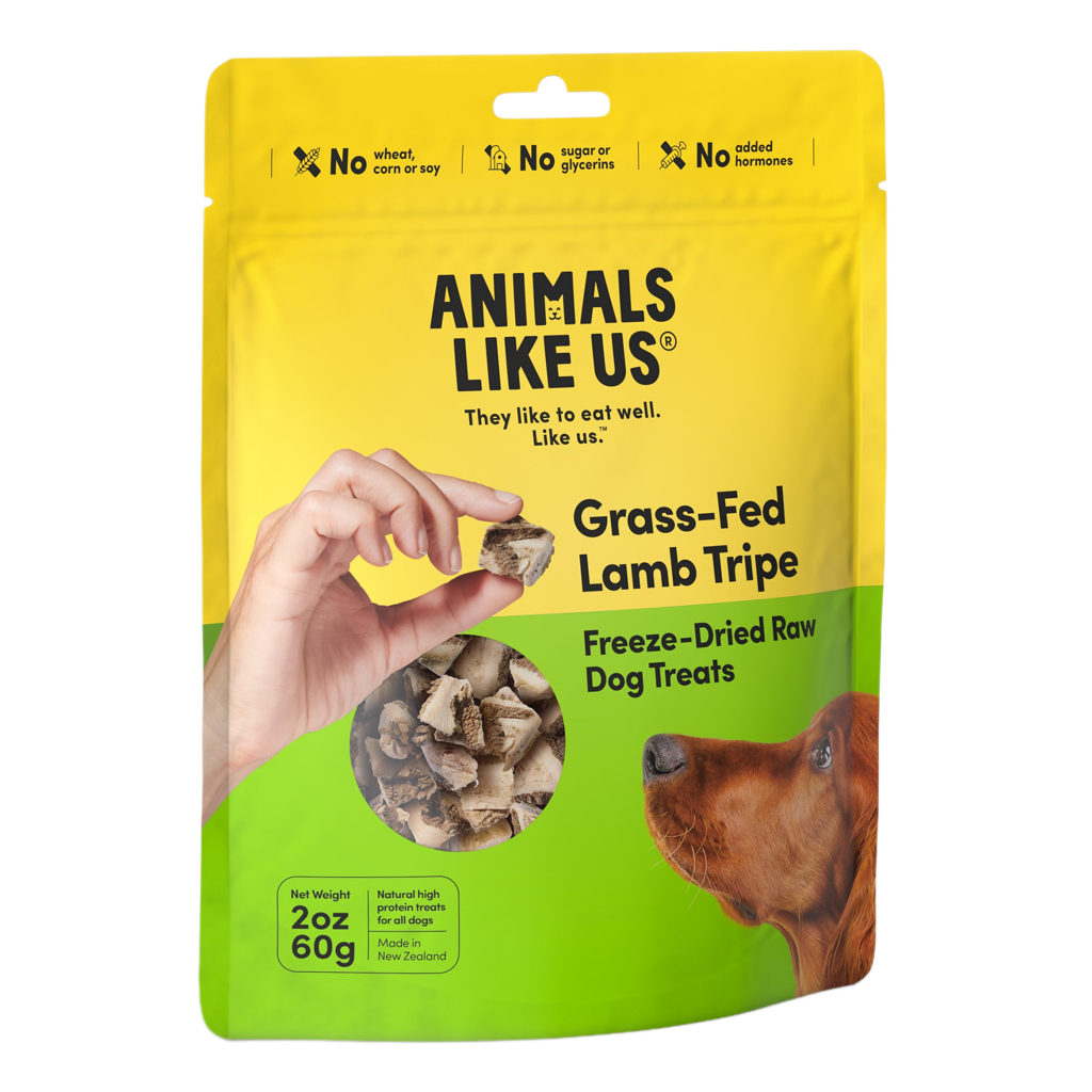 Animals like us