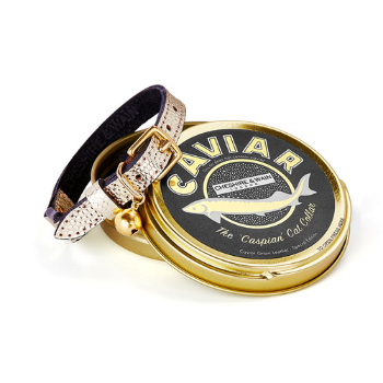Cheshire &amp; Wain Caviar Cat Collar
