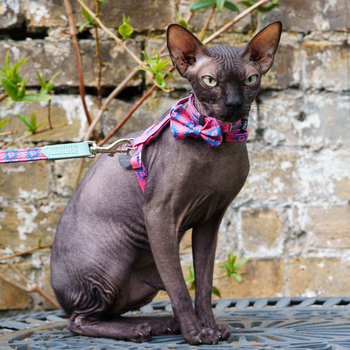 Hiro + Wolf Nebula Cat Harness