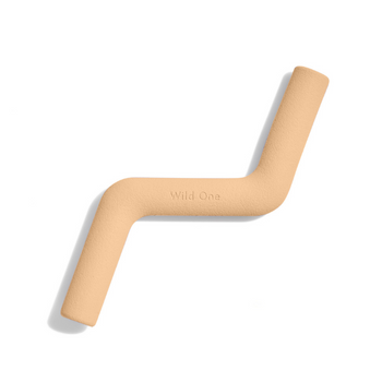 Wild One Bolt Dog Toy