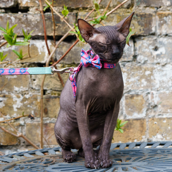 Hiro + Wolf Nebula Cat Bow Tie