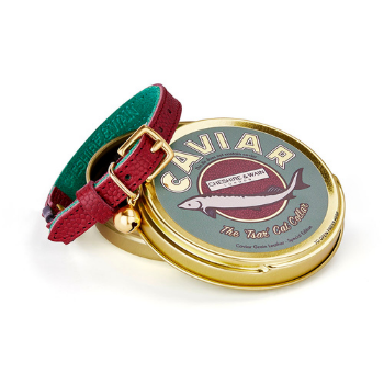 Caviar - Tsar Cat Collar