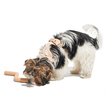 Wild One Bolt Dog Toy