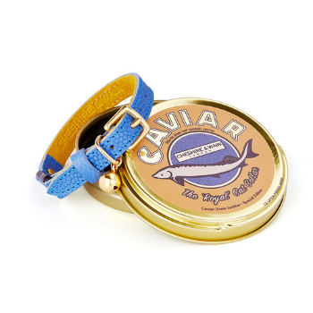 Caviar - Royal Cat Collar