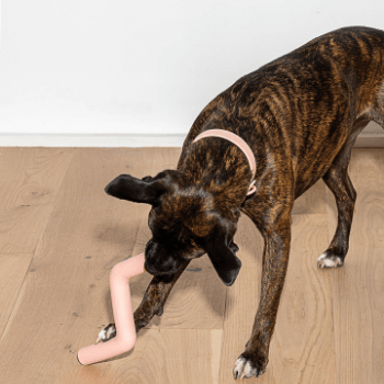 Wild One - Bolt Bite Dog Toy Pink
