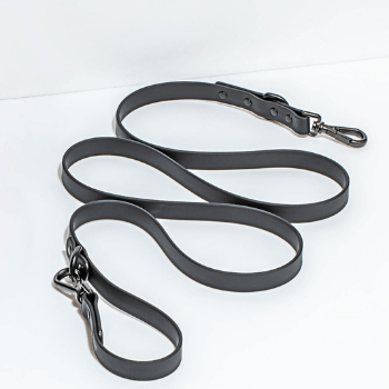 Wild One Dog Lead