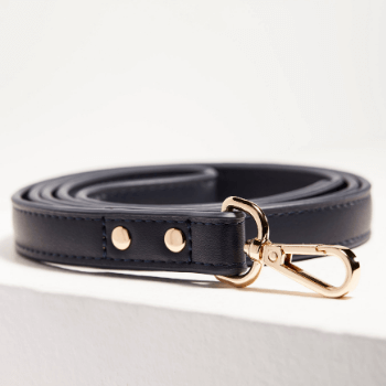 St Argo Navy Dog Lead