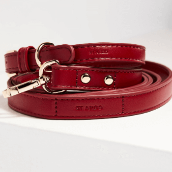St Argo Ruby Red Collar &amp; Lead