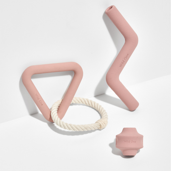 Wild One Dog Toy Kit