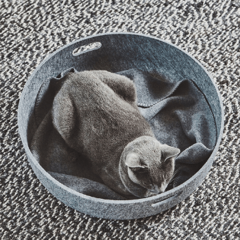 MiaCara Unica Fleece Cat Blanket Pebble