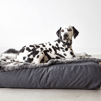 MiaCara Felpa Dog Blanket