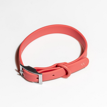 Wild One Dog Collar Coral Red