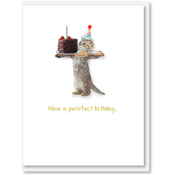 iCandy Cat themed Birthday card