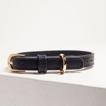 St Argo Navy Dog Collar