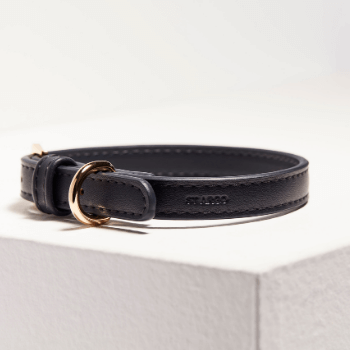 St Argo Navy Dog Collar