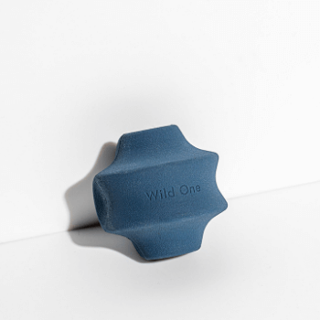 Wild One Twist Dog Toy