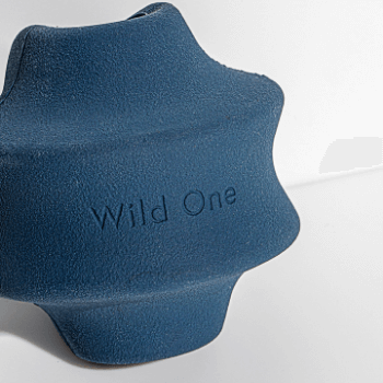 Wild One Twist Dog Toy