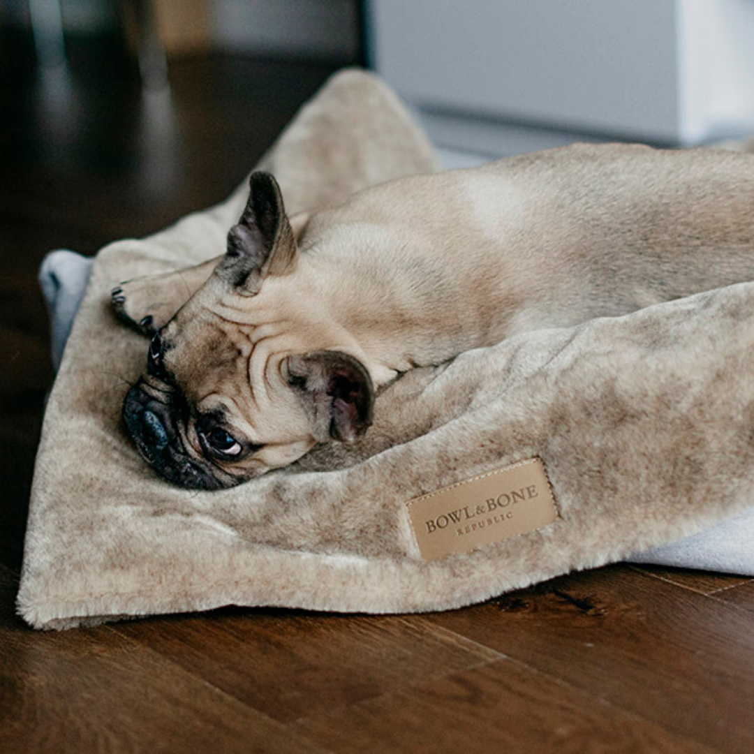 Bowl&amp;Bone Republic Dog Blanket Nap Brown