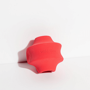 Wild One Twist Dog Toy