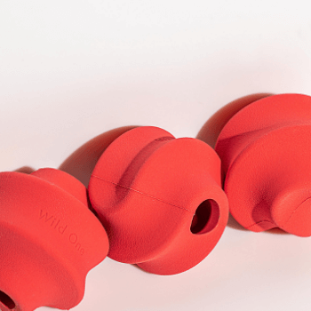 Wild One Twist Dog Toy