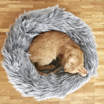 Capello Cat Bed