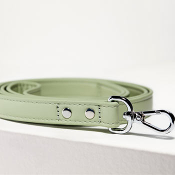 St Argo Sage Vegan Dog Collar