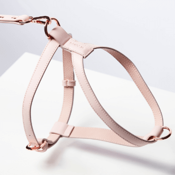 St Argo Harness Pink