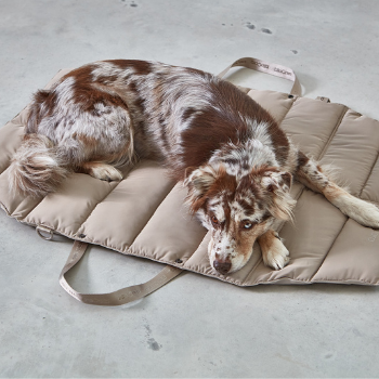 MiaCara Strada Travel Dog Bed