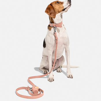 Dog Walking Kit - Blush