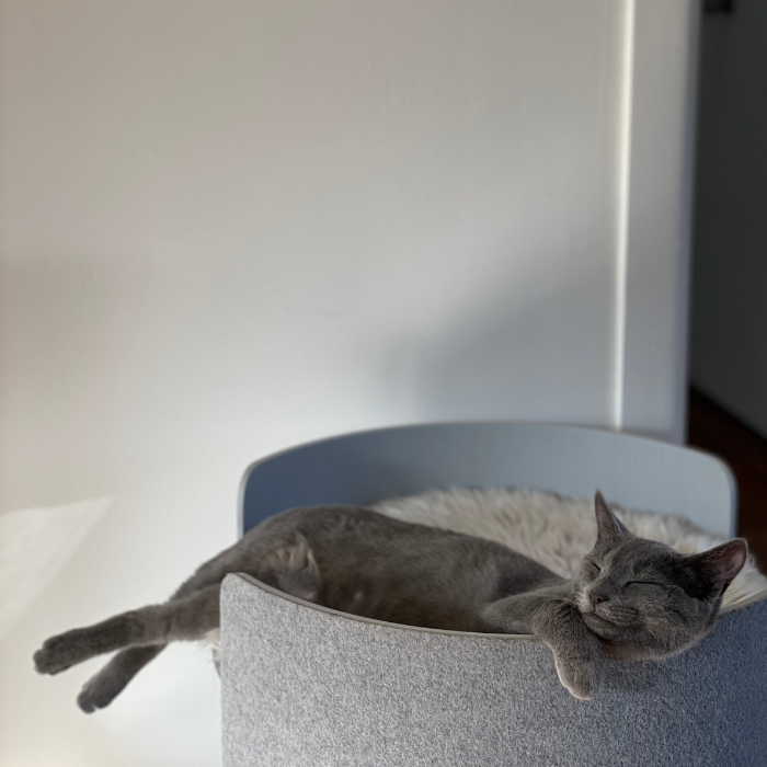 Cat Scratching Post - Second