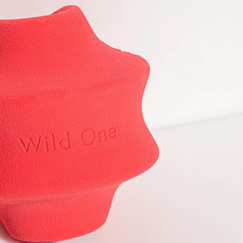 Wild One Twist Dog Toy