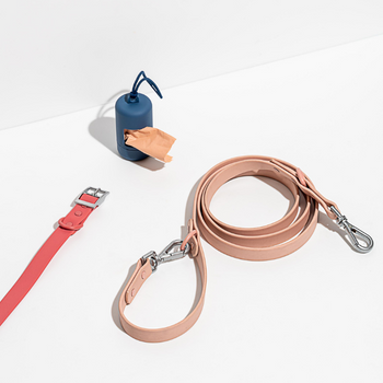 Wild One Walking Kit