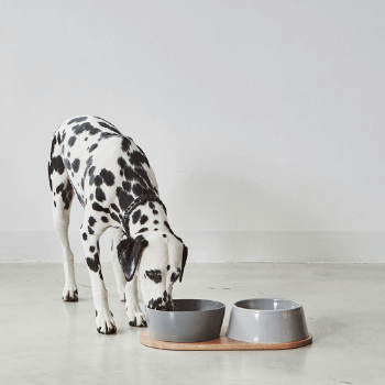 MiaCara Doppio Dog Bowl Set - Concrete