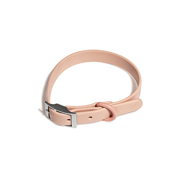 Wild One Dog Collar