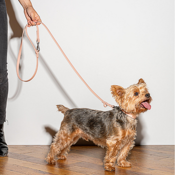 Wild One Dog Leash