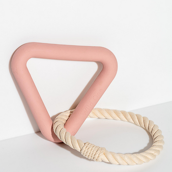 Wild One Dog Triangle Toy