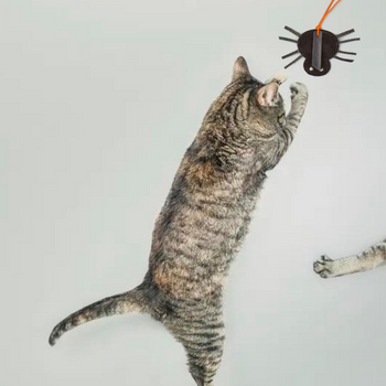 Cheshire &amp; Wain  Suede Spider Cat Teaser Toy