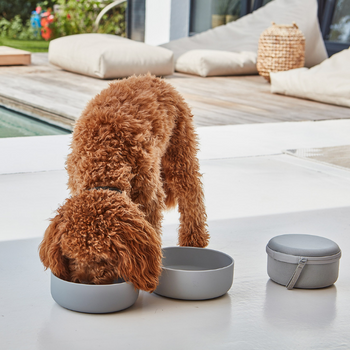 MiaCara Bento Travel Dog Bowls
