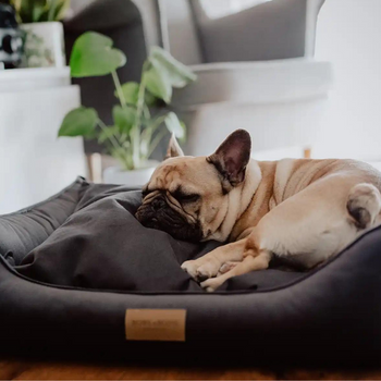 Bowl &amp; Bone Republic Classic Dog Bed