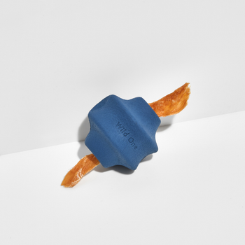 Wild One Dog Walking Toy